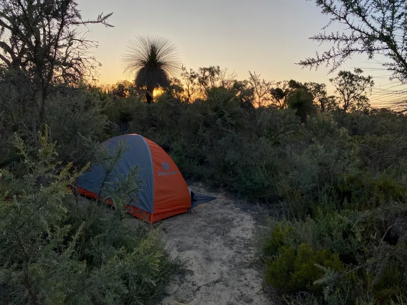 A hiking tent surrounded by bushland at sunset