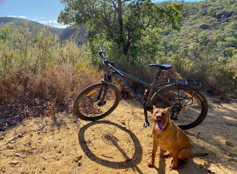 A mountain bike on a hill